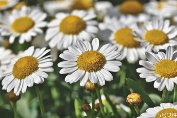 婚外情男人喜歡什么樣的情人 婚外情斷聯(lián)是不是真的斷了 婚外情男人喜歡什么樣的情人 婚外情斷聯(lián)是不是真的斷了