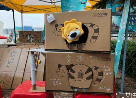 流浪貓冬天怎么過冬 怎么幫助流浪貓過冬 流浪貓冬天怎么過冬 怎么幫助流浪貓過冬