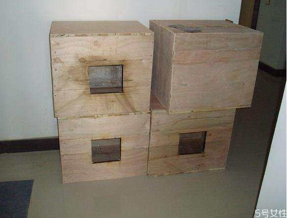 流浪貓冬天怎么過冬 怎么幫助流浪貓過冬 流浪貓冬天怎么過冬 怎么幫助流浪貓過冬