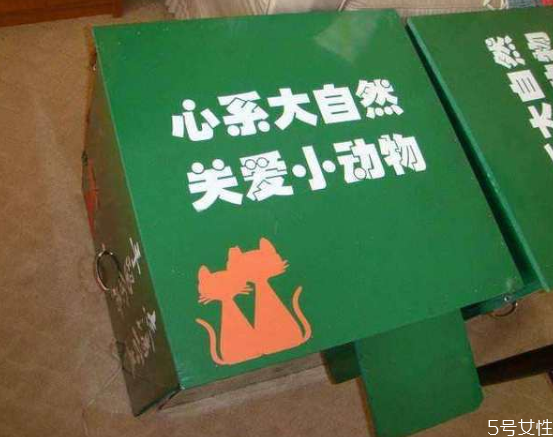流浪貓冬天怎么過冬 怎么幫助流浪貓過冬 流浪貓冬天怎么過冬 怎么幫助流浪貓過冬