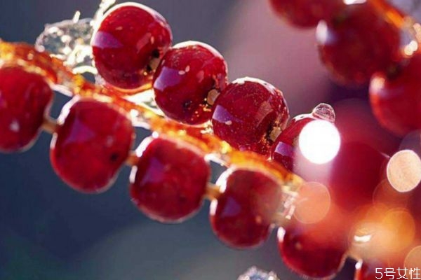 冰糖葫蘆可以在冰箱放幾天 糖葫蘆可以放過(guò)夜嗎 冰糖葫蘆可以在冰箱放幾天 糖葫蘆可以放過(guò)夜嗎