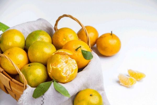 皇帝柑大的好還是小的好 皇帝柑酸的還是甜的 皇帝柑大的好還是小的好 皇帝柑酸的還是甜的