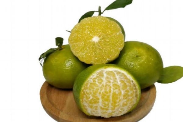 皇帝柑美白嗎 皇帝柑糖分高嗎 皇帝柑美白嗎 皇帝柑糖分高嗎