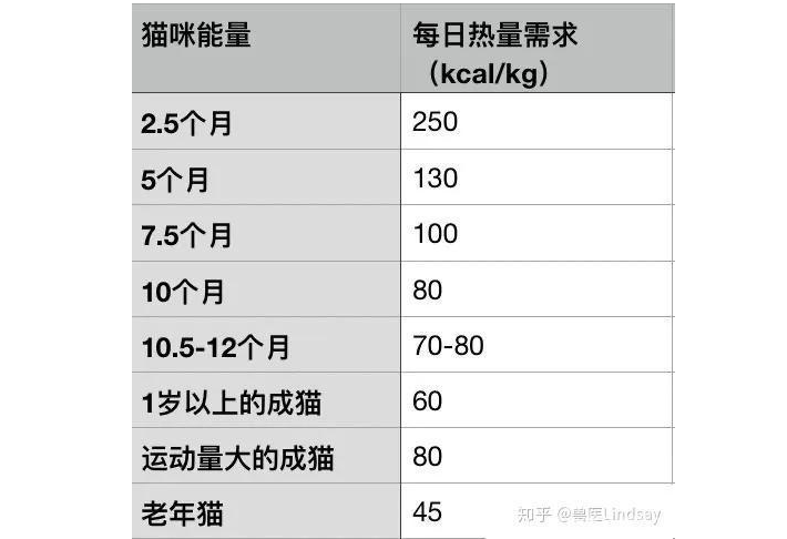 3個月小貓的正常體重 貓咪體重年齡對照表 3個月小貓的正常體重 貓咪體重年齡對照表