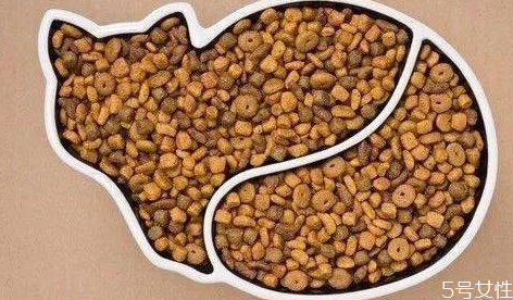 給小貓換糧要注意什么 小貓換糧拉稀有事嗎 給小貓換糧要注意什么 小貓換糧拉稀有事嗎