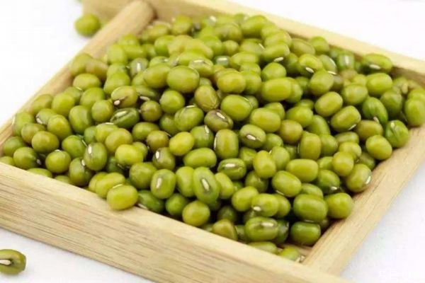 如何保存綠豆 綠豆長(zhǎng)期保存的方法 如何保存綠豆 綠豆長(zhǎng)期保存的方法