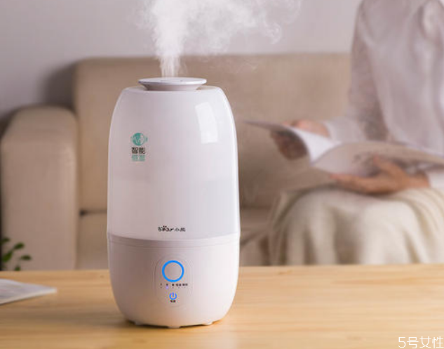 加濕器里的棉棒沒(méi)了還能用嗎 加濕器棉棒用什么可以代替 加濕器里的棉棒沒(méi)了還能用嗎 加濕器棉棒用什么可以代替