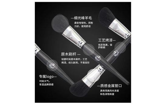 艾諾琪大師系列怎么樣 艾諾琪什么刷好用 艾諾琪大師系列怎么樣 艾諾琪什么刷好用