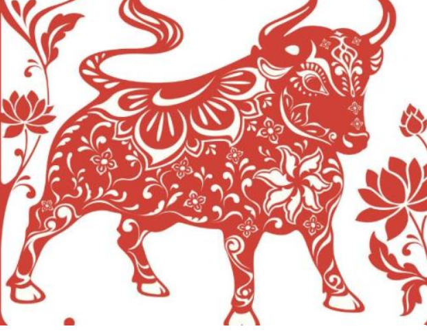 2021年屬什么生肖 2021金牛年幾月出生最好 2021年屬什么生肖 2021金牛年幾月出生最好