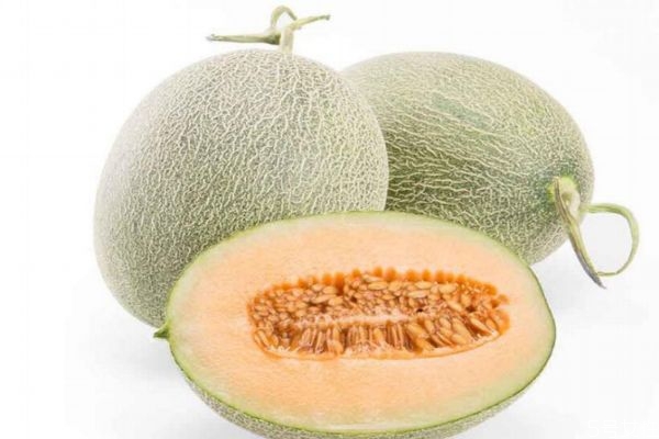 哈密瓜根部爛了一點(diǎn)能吃嗎 哈密瓜怎樣保存不容易爛 哈密瓜根部爛了一點(diǎn)能吃嗎 哈密瓜怎樣保存不容易爛