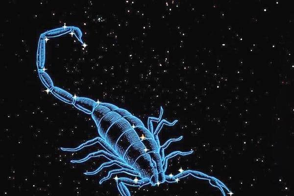 天蝎座分手會回頭嗎 天蝎座分手后想復(fù)合的表現(xiàn) 天蝎座分手會回頭嗎 天蝎座分手后想復(fù)合的表現(xiàn)