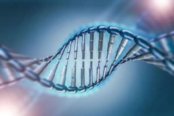 NMN抗衰老是真的嗎 NMN抗衰老有效果嗎 NMN抗衰老是真的嗎 NMN抗衰老有效果嗎