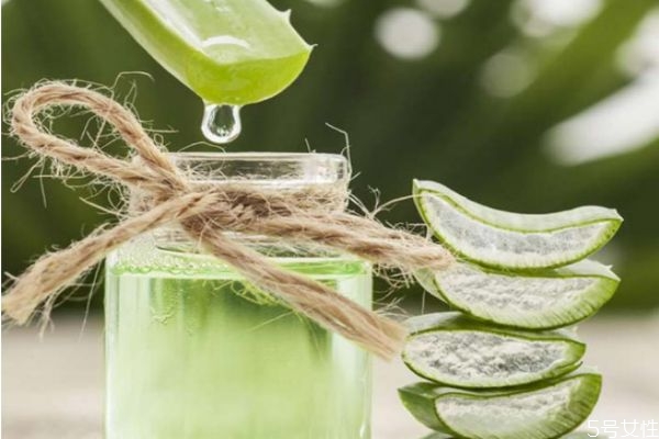 新鮮的蘆薈汁可以直接涂抹在臉上嗎 蘆薈汁直接涂臉嗎 新鮮的蘆薈汁可以直接涂抹在臉上嗎 蘆薈汁直接涂臉嗎