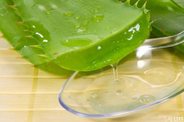 新鮮的蘆薈汁可以直接涂抹在臉上嗎 蘆薈汁直接涂臉嗎 新鮮的蘆薈汁可以直接涂抹在臉上嗎 蘆薈汁直接涂臉嗎