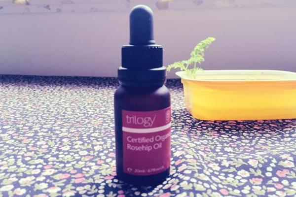 Trilogy玫瑰果油油皮能用嗎 Trilogy玫瑰果油油皮會油嗎 Trilogy玫瑰果油油皮能用嗎 Trilogy玫瑰果油油皮會油嗎