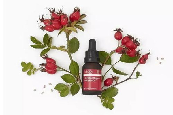 Trilogy玫瑰果油油皮能用嗎 Trilogy玫瑰果油油皮會油嗎 Trilogy玫瑰果油油皮能用嗎 Trilogy玫瑰果油油皮會油嗎