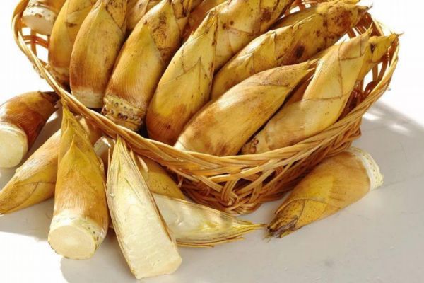 冬筍應(yīng)該怎么保存 冬筍保存的方法有什么 冬筍應(yīng)該怎么保存 冬筍保存的方法有什么