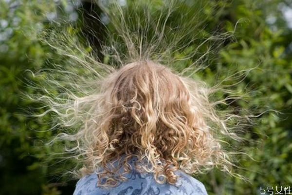 冬天頭發(fā)起靜電嚴重如何解決 什么梳子防靜電效果好 冬天頭發(fā)起靜電嚴重如何解決 什么梳子防靜電效果好