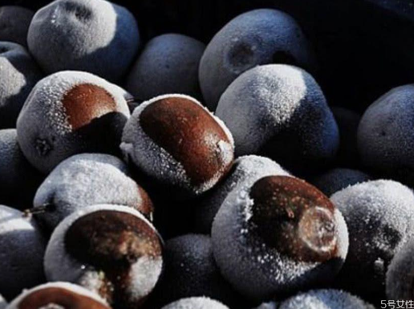 凍梨可以放多久 買(mǎi)的凍梨怎么保存 凍梨可以放多久 買(mǎi)的凍梨怎么保存