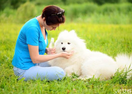 狗狗怎么訓練才聽話 訓練狗狗離開主人不叫 狗狗怎么訓練才聽話 訓練狗狗離開主人不叫