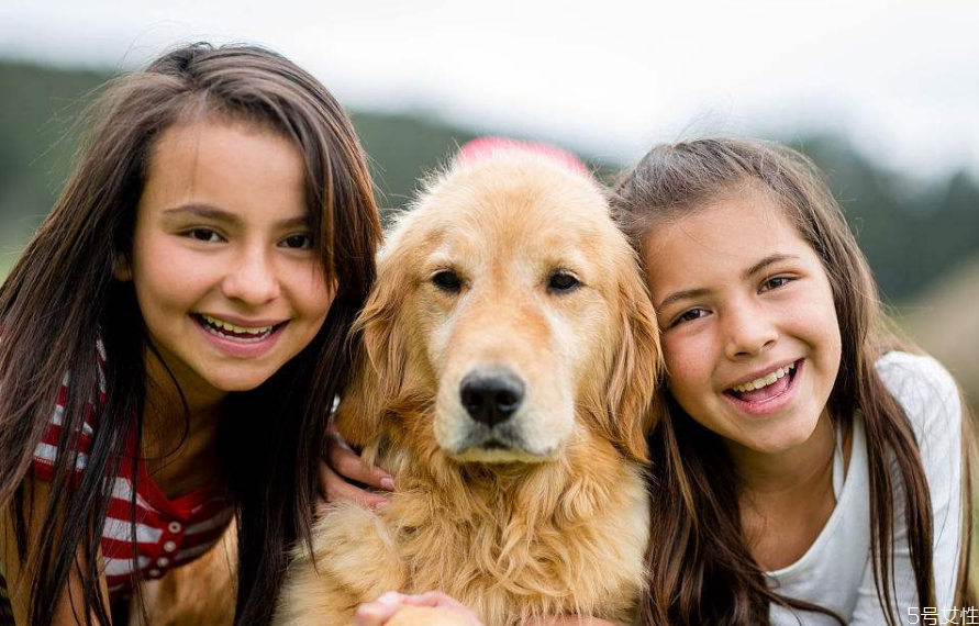 狗狗怎么訓練才聽話 訓練狗狗離開主人不叫 狗狗怎么訓練才聽話 訓練狗狗離開主人不叫