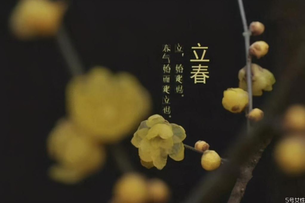 立春時(shí)間2021幾點(diǎn)幾分 2021年幾點(diǎn)打春幾點(diǎn)結(jié)束 立春時(shí)間2021幾點(diǎn)幾分 2021年幾點(diǎn)打春幾點(diǎn)結(jié)束