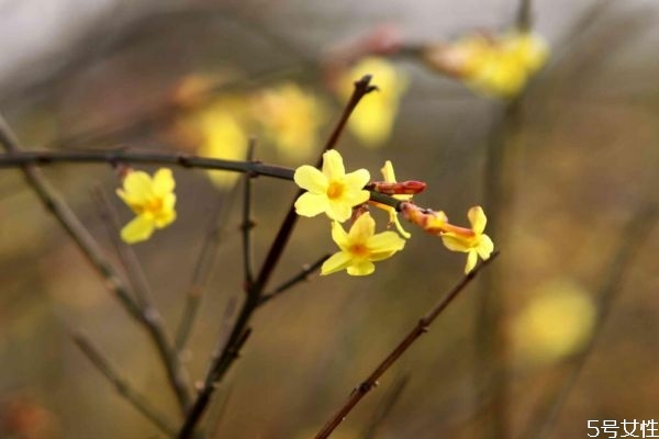 立春如何躲春 立春怎么躲太歲 立春如何躲春 立春怎么躲太歲