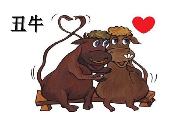 牛年本命年忌紅色嗎 牛年本命年要注意什么 牛年本命年忌紅色嗎 牛年本命年要注意什么