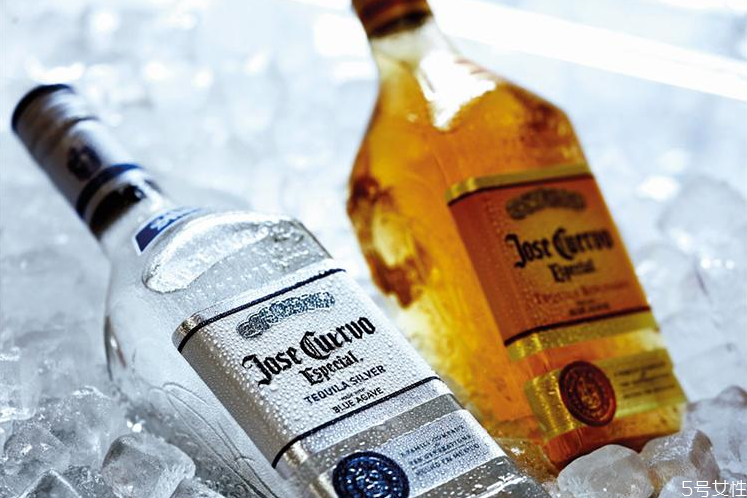 龍舌蘭酒為什么加鹽 龍舌蘭配什么鹽比較好 龍舌蘭酒為什么加鹽 龍舌蘭配什么鹽比較好