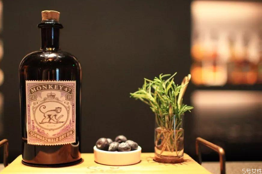 琴酒是什么類型的酒 琴酒怎么喝 琴酒是什么類型的酒 琴酒怎么喝