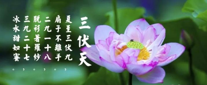 三伏天是什么？三伏天應(yīng)注意什么？