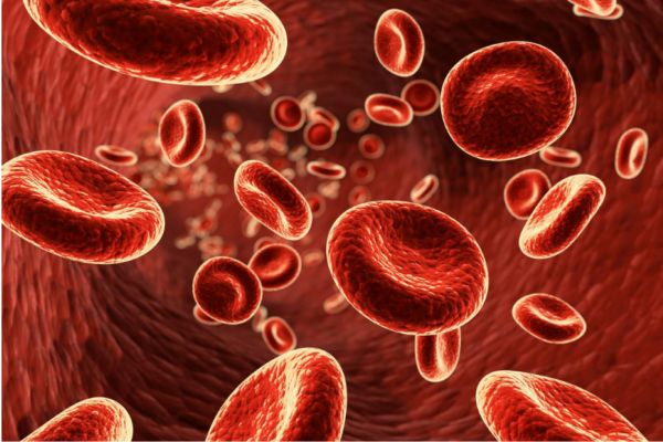 貧血是什么回事 貧血怎么辦 貧血是什么回事 貧血怎么辦