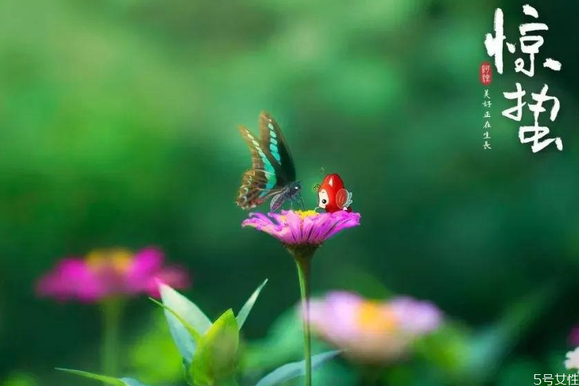 驚蟄寓意好嗎 驚蟄節(jié)氣最大的特點(diǎn)是什么 驚蟄寓意好嗎 驚蟄節(jié)氣最大的特點(diǎn)是什么