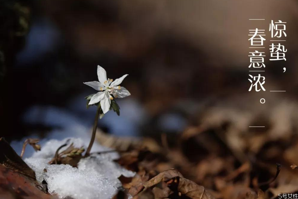 驚蟄寓意好嗎 驚蟄節(jié)氣最大的特點(diǎn)是什么 驚蟄寓意好嗎 驚蟄節(jié)氣最大的特點(diǎn)是什么