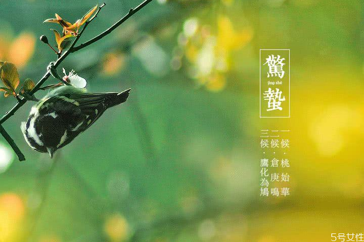 驚蟄三候是什么意思 驚蟄分為哪三候 驚蟄三候是什么意思 驚蟄分為哪三候