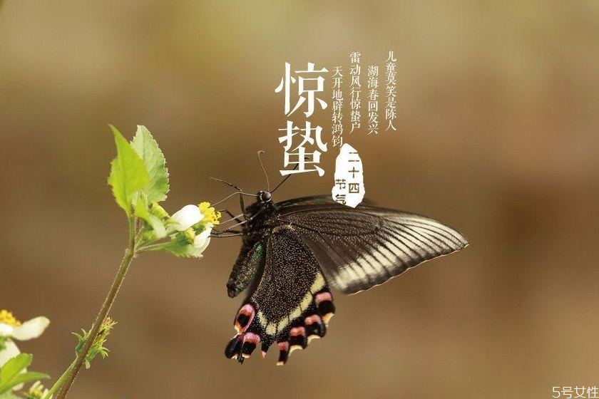 驚蟄如何養(yǎng)生 驚蟄養(yǎng)生重點(diǎn)是什么 驚蟄如何養(yǎng)生 驚蟄養(yǎng)生重點(diǎn)是什么