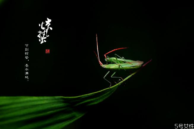 驚蟄如何養(yǎng)生 驚蟄養(yǎng)生重點(diǎn)是什么 驚蟄如何養(yǎng)生 驚蟄養(yǎng)生重點(diǎn)是什么