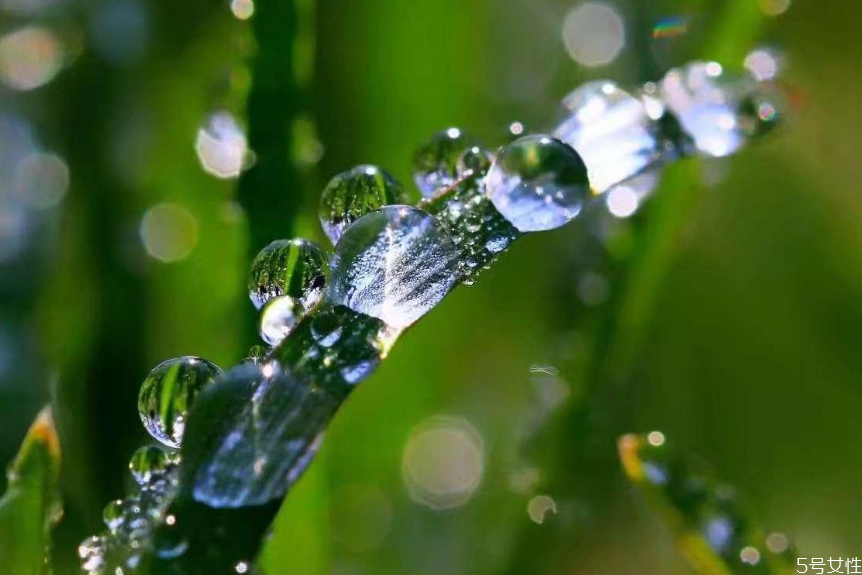 驚蟄時節(jié)吃什么 驚蟄節(jié)氣吃什么食物 驚蟄時節(jié)吃什么 驚蟄節(jié)氣吃什么食物