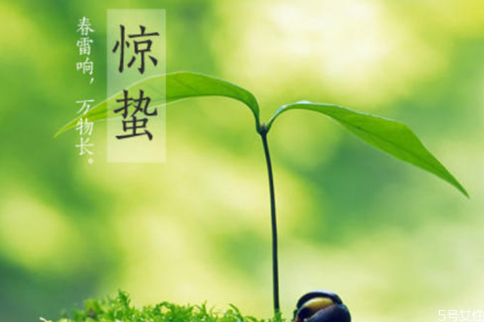 驚蟄為什么吃梨 驚蟄吃梨有什么寓意 驚蟄為什么吃梨 驚蟄吃梨有什么寓意