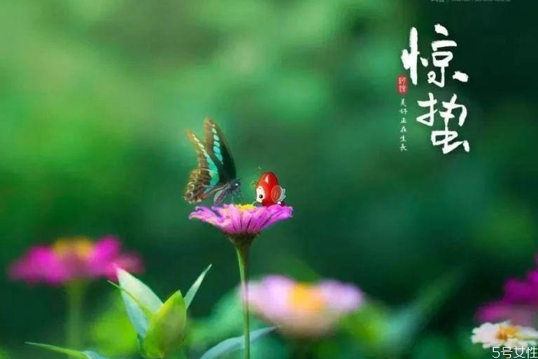 驚蟄為什么吃梨 驚蟄吃梨有什么寓意 驚蟄為什么吃梨 驚蟄吃梨有什么寓意