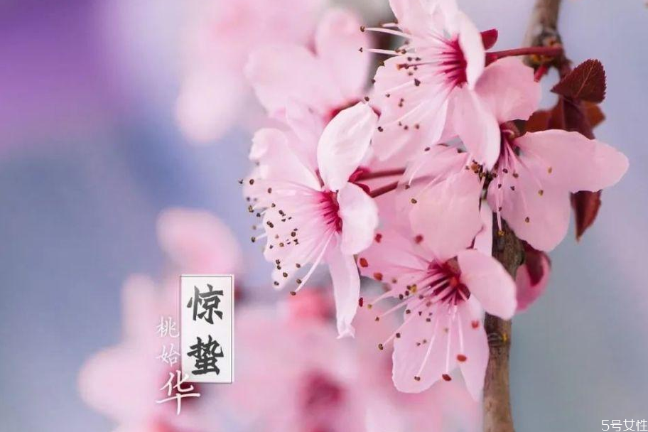 驚蟄為什么要吃雞蛋 雞蛋吃雞蛋的說法 驚蟄為什么要吃雞蛋 雞蛋吃雞蛋的說法