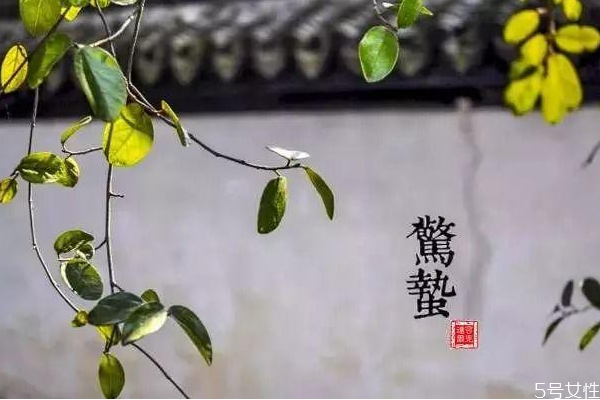 驚蟄為什么要吃雞蛋 雞蛋吃雞蛋的說法 驚蟄為什么要吃雞蛋 雞蛋吃雞蛋的說法