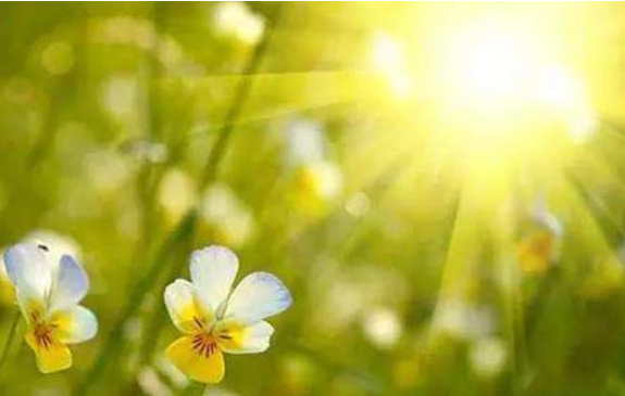 上午幾點曬背補陽氣 上午幾點曬太陽可以補陽氣 上午幾點曬背補陽氣 上午幾點曬太陽可以補陽氣