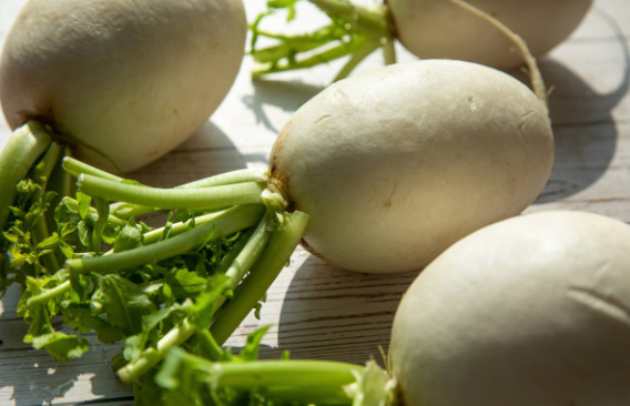 生吃白蘿卜的功效與作用 生吃白蘿卜對人身體有什么好處 生吃白蘿卜的功效與作用 生吃白蘿卜對人身體有什么好處