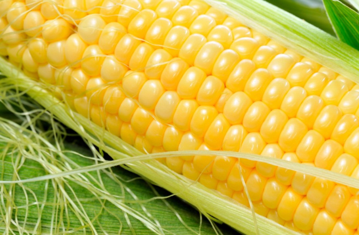 玉米須沖水喝有哪些功效 玉米須沖水喝的功效 玉米須沖水喝有哪些功效 玉米須沖水喝的功效