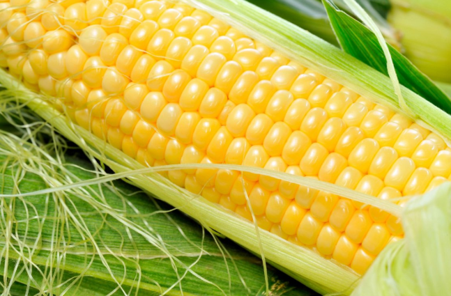 玉米須沖水喝有哪些功效 玉米須沖水喝的功效 玉米須沖水喝有哪些功效 玉米須沖水喝的功效