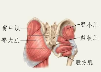 臀部練多久會(huì)有變大明顯的效果 臀部練多久會(huì)有變大明顯的效果
