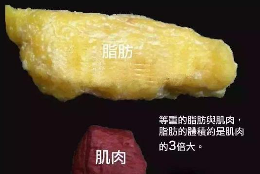 好不容易減幾斤一頓飯就回去了怎么辦 好不容易減幾斤一頓飯就回去了怎么辦