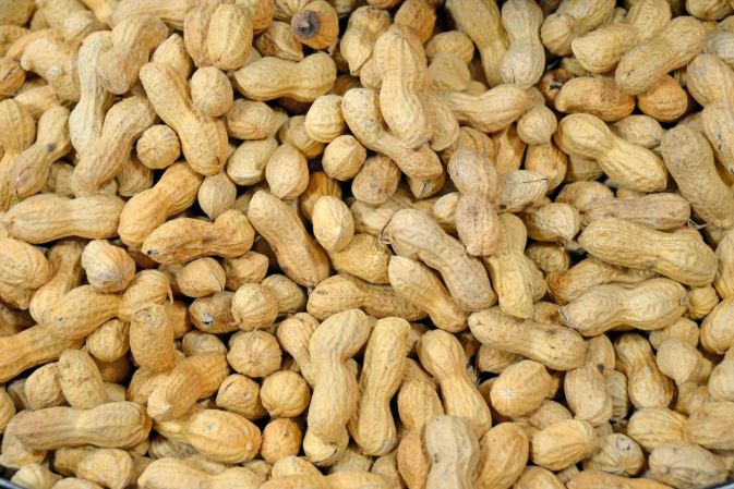 花生怎么吃養(yǎng)胃最好 花生怎么吃對(duì)胃有好處 花生怎么吃養(yǎng)胃最好 花生怎么吃對(duì)胃有好處