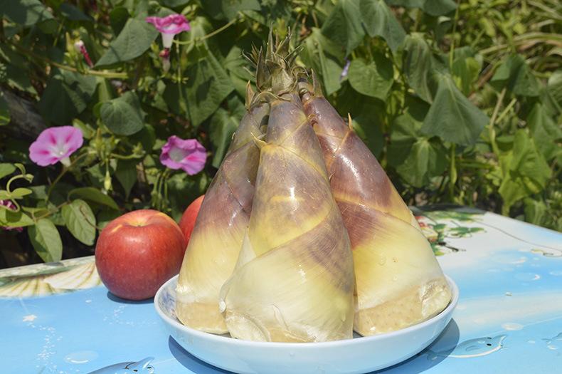 馬蹄筍的功效與作用 馬蹄筍的營養(yǎng)價值 馬蹄筍的功效與作用 馬蹄筍的營養(yǎng)價值